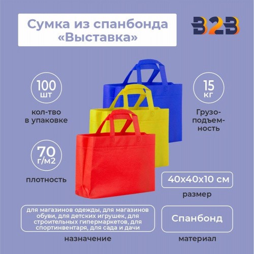 Сумка из спанбонда «Выставка» 40x40х10