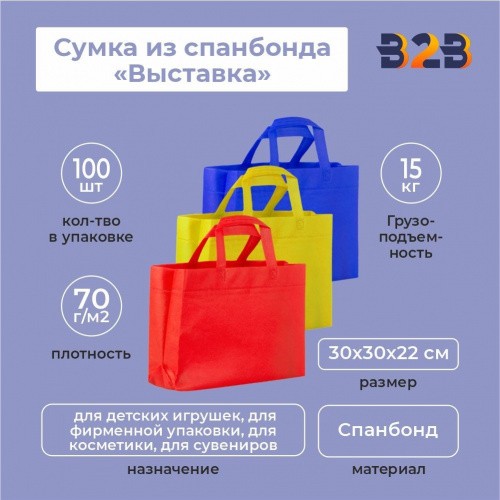 Сумка из спанбонда «Выставка» 30х30х22